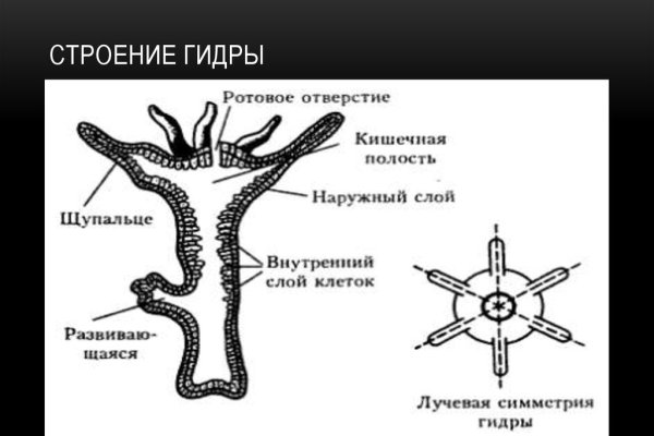 Кракен маркет только через тор скачать