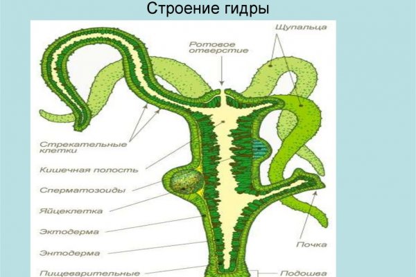 Mega market ссылка